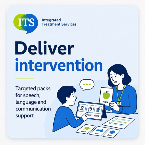 Deliver Colourful Semantics intervention for speech, language and communication support